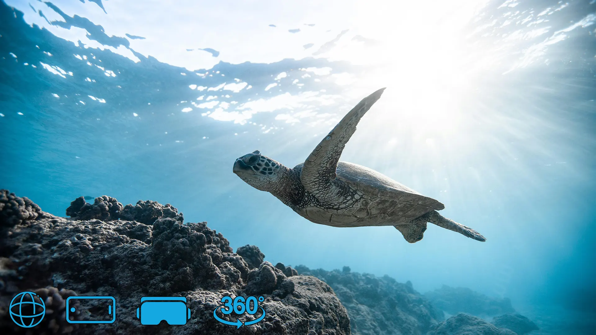 VR Streaming Without a Headset – Watch VR on Any Device with URview